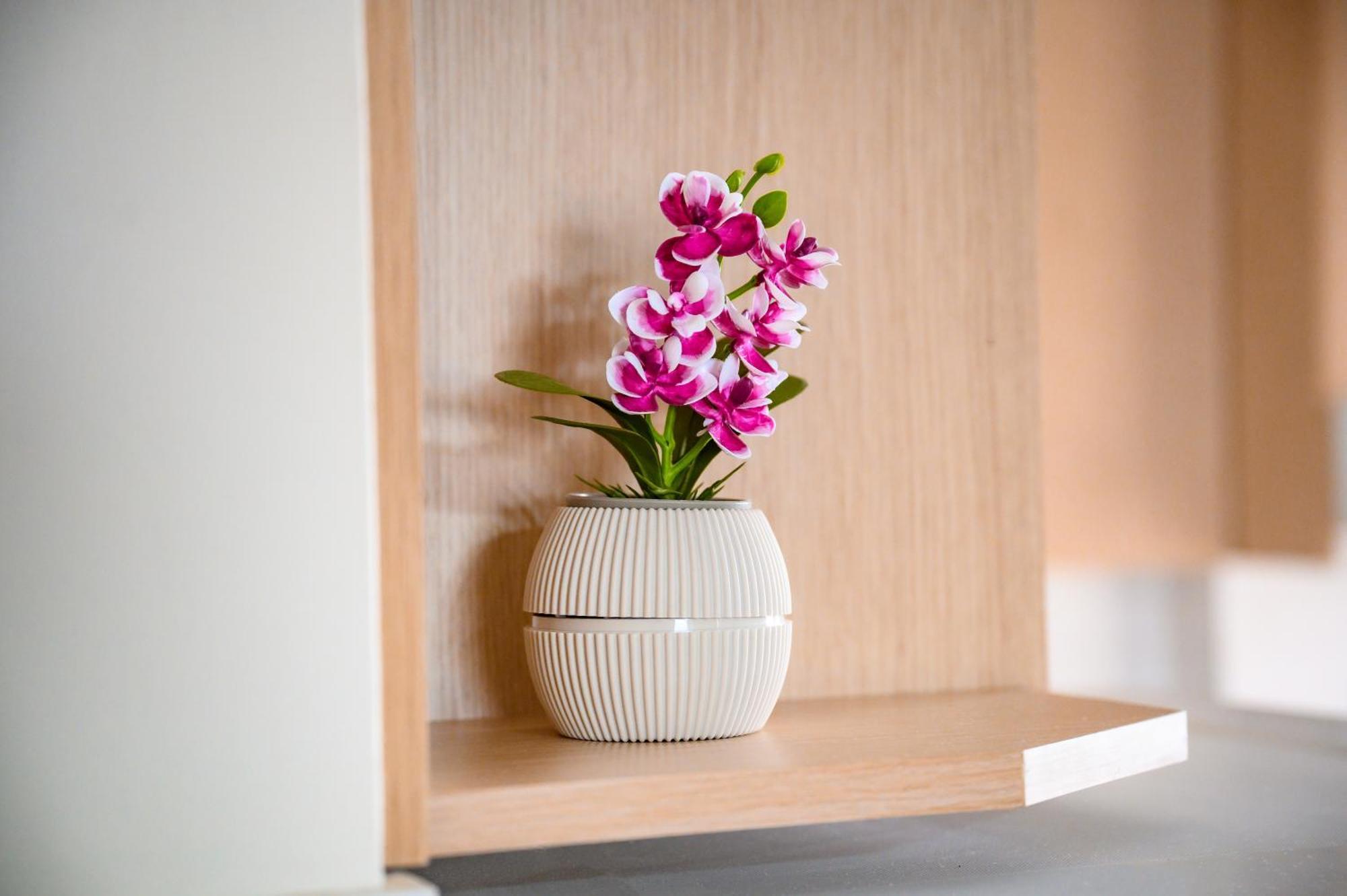 Iliahtida Apartments ロビエス エクステリア 写真